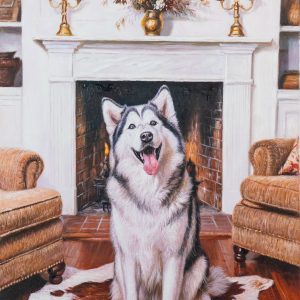 Pet Portraits