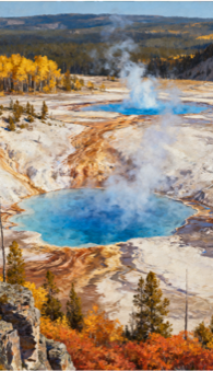 Nature’s Peace Oil Painting